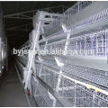 Alibaba Supply Rearing Equipment For Chicken Farm